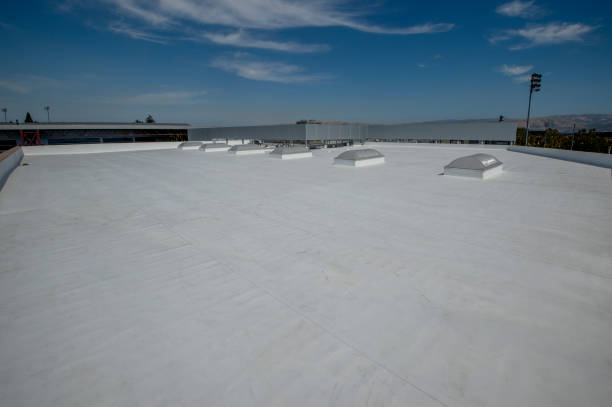 Best Green or Eco-Friendly Roofing Solutions  in Paynesville, MN