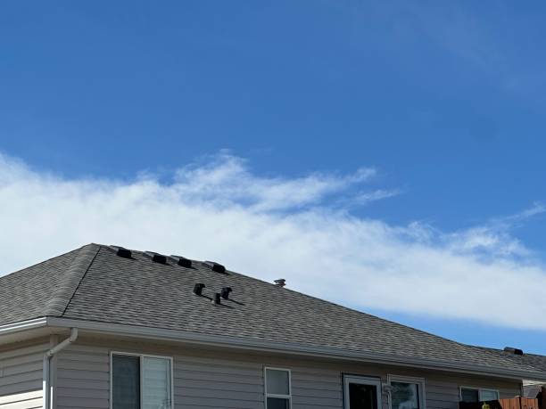 Best Storm Damage Roof Repair  in Paynesville, MN